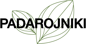 Padarojniki